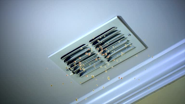 Best Affordable HVAC Duct Cleaning  in Evergreen, MT